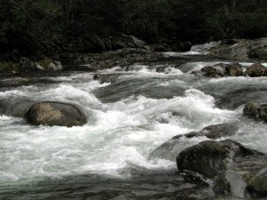 The Little Pigeon River in the Smokies.  March 28, 2009.
