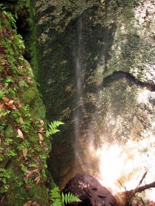 The bottom of the sinkhole into which Falling Waters Falls flows.  August 6, 2009.