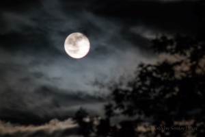 Moon and clouds, Friday, June 13, 2014.  Fairfield Glade, Tennessee.